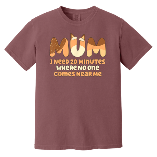 Mom I Need 20 Minutes Mother's Day T-Shirt