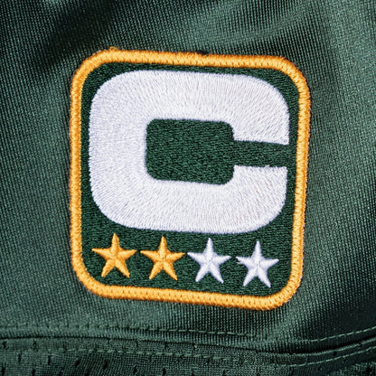 Charles Woodson Green Bay Packers Green 2010 Jersey